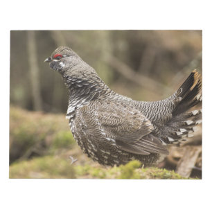 Proud Grouse Notepad
