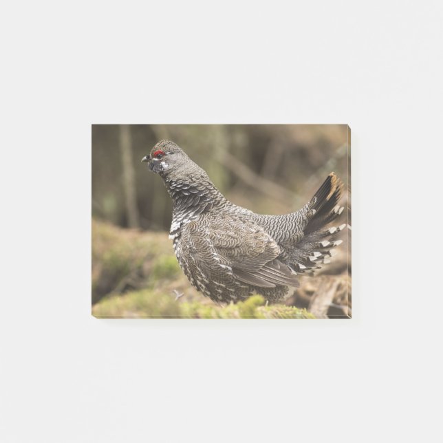 Proud Grouse Post-it Notes (Front)