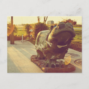 Proud Hippo ! Postcard