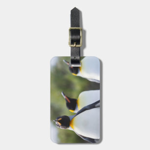 Proud King penguins photo Luggage Tag