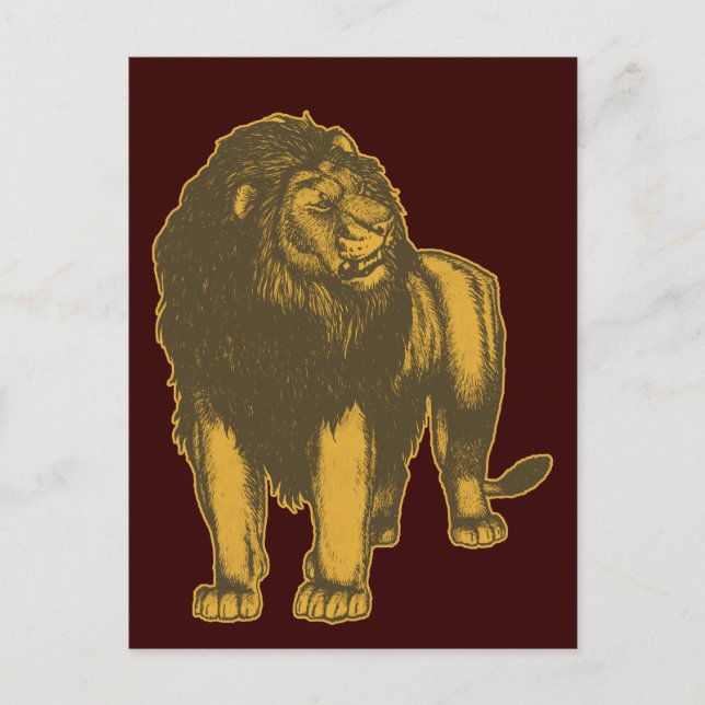 Proud  Lion Postcard (Front)