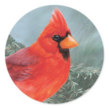 Proud Male Cardinal