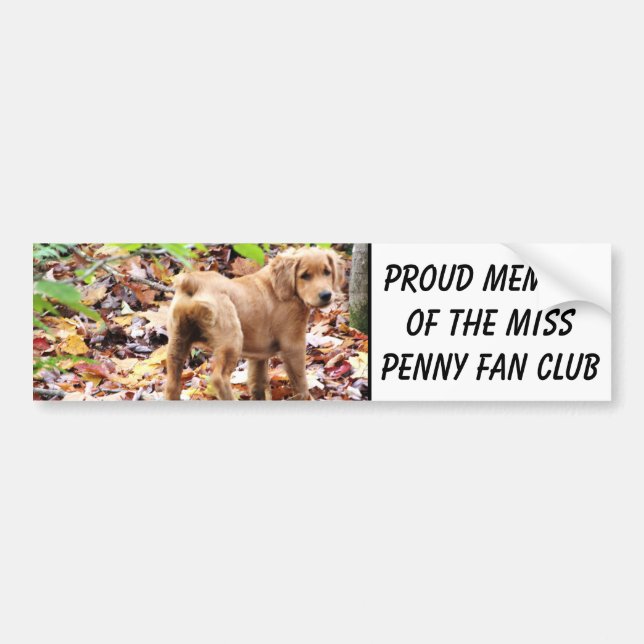 Proud member of the Miss Penny fan club. Bumper Sticker (Front)