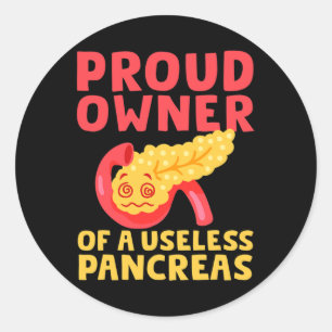 Proud Owner Of A Useless Pancreas Type 1 Diabetes Classic Round Sticker