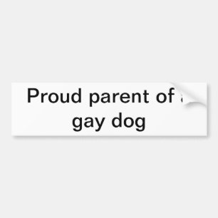Proud parent of a gay dog bumper sticker