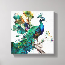 Proud Peacock