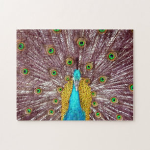 proud peacock jigsaw puzzle