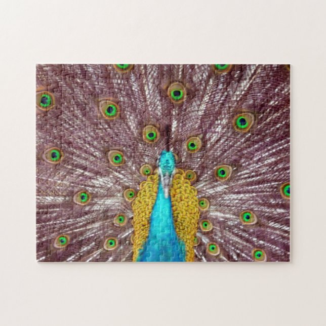 proud peacock jigsaw puzzle (Horizontal)
