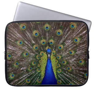 Proud Peacock laptop sleeves