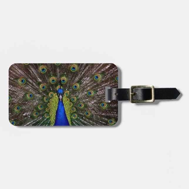 Proud Peacock luggage tag (Front Horizontal)