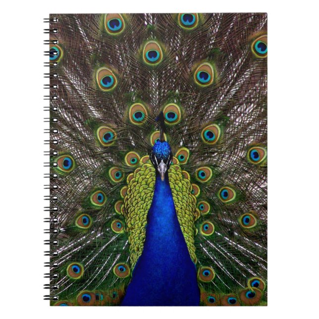 Proud Peacock notebook (Front)