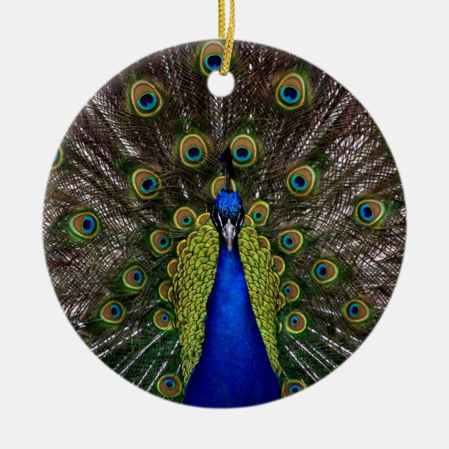 Proud Peacock ornament (Front)