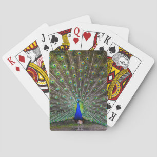 Proud Peacock Playing Cards