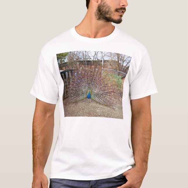 proud peacock T-Shirt (Front)