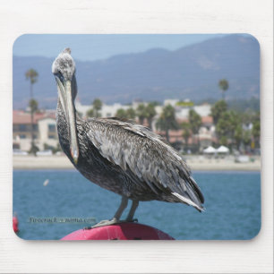Proud Pelican Mousepad