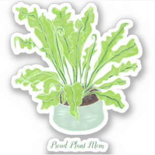 Proud Plant Mom - bird's nest fern custom cut.