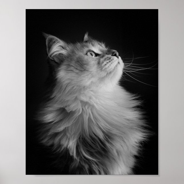 Proud Poster (Front)