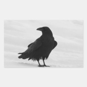 Proud Raven Rectangular Sticker