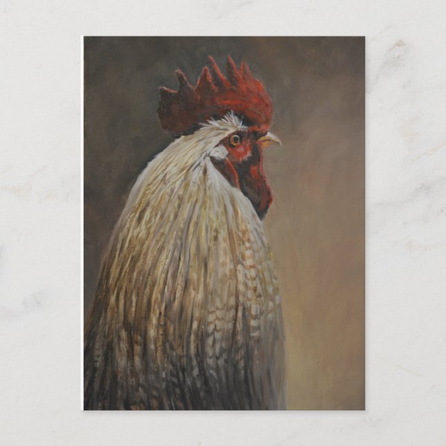 Proud Rooster Bird Art Postcard (Front)