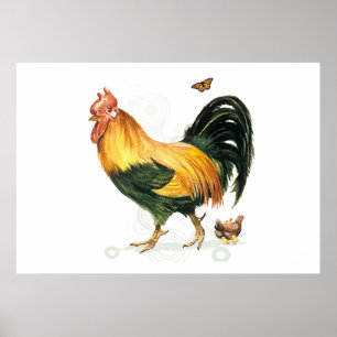 Proud Rooster with hen and chickens. Poster