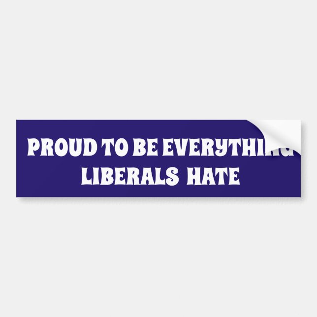 PROUD TO BE EVERYTHING LIBERALS HATE POLITICAL BUMPER STICKER (Front)