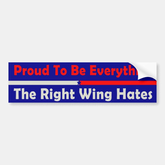 Proud To Be Everything The Right Wing Hates Bumper Sticker (Front)