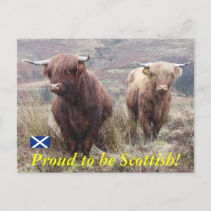 Proud to be Scottish! Postcard