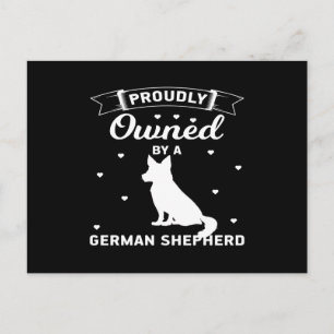 Proudly owned by a German shepherd Postcard