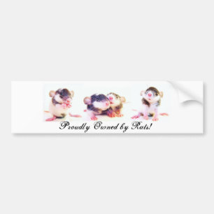 Proudly Owned by Rats! Bumper Sticker