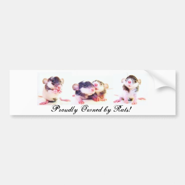 Proudly Owned by Rats! Bumper Sticker (Front)