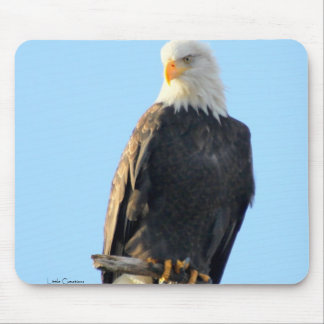 Proudly Perched Mouse Pad