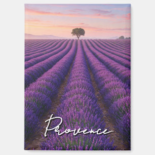 Provence France Lavender Fields  Magnet