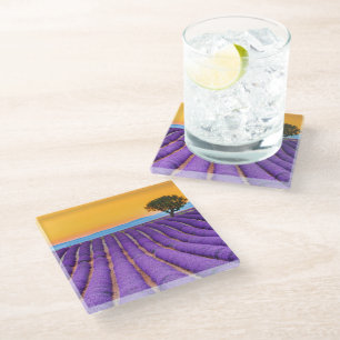 Provence Glass Coaster