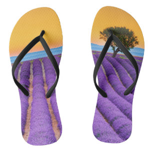 Provence Jandals