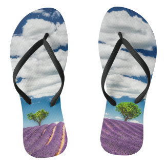 Provence Jandals
