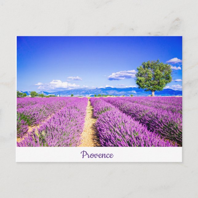 Provence Postcard (Front)
