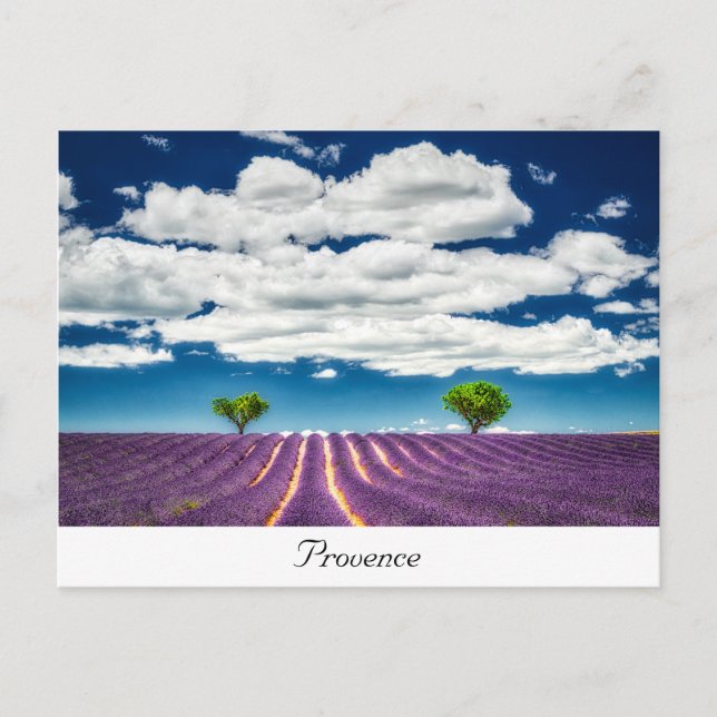 Provence Postcard (Front)