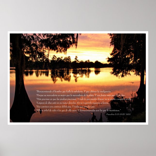Proverbios 3: 13-18 con Arboles Poster (Front)