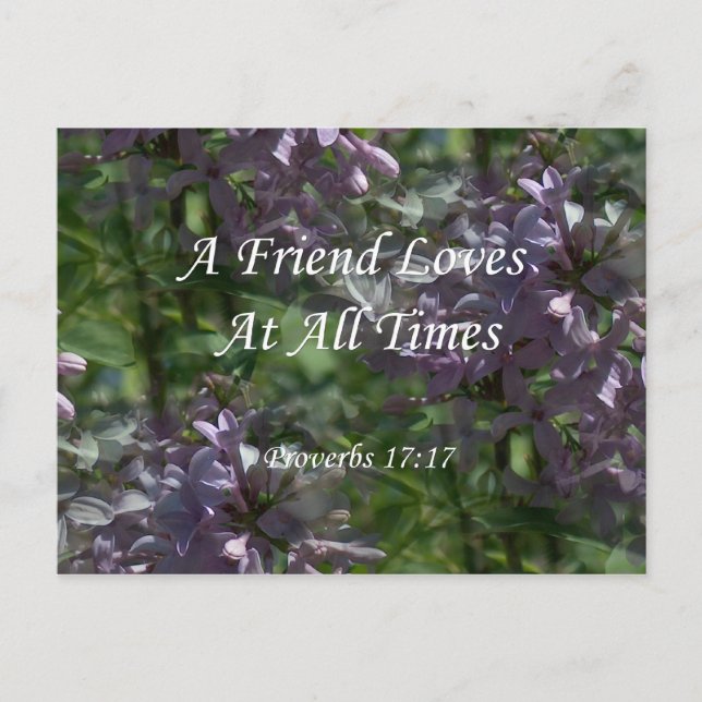proverbs17-17 ~ Lilacs Postcard (Front)