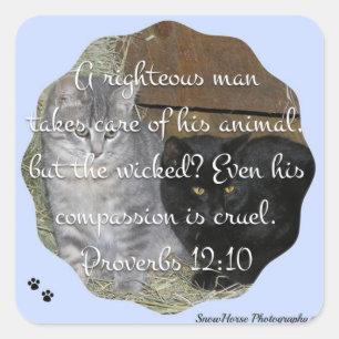 Proverbs 12:10 square sticker