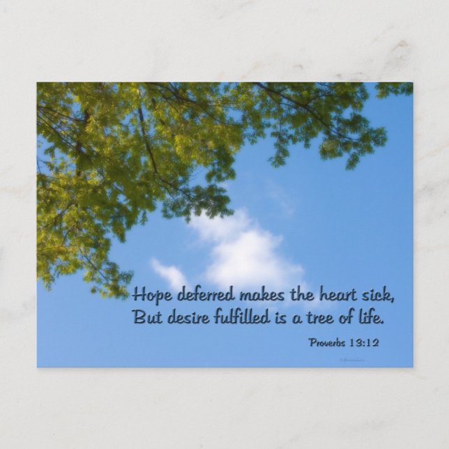 Proverbs 13:12 Hope deferred makes the heart sick Postcard (Front)