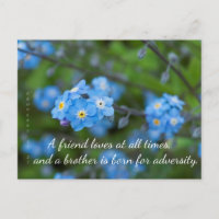 Proverbs 17:17 Forget-Me-Not Postcard