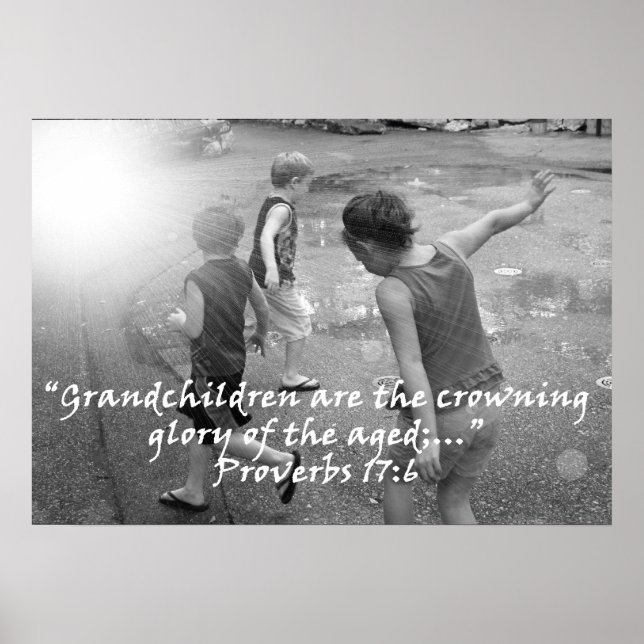 "Proverbs 17:6"  by Carter L. Shepard Poster (Front)