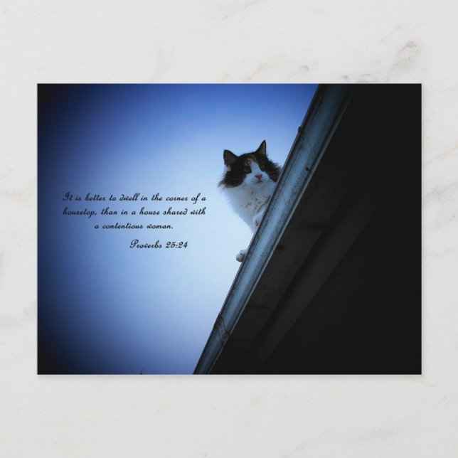 Proverbs 25  24 postcard (Front)