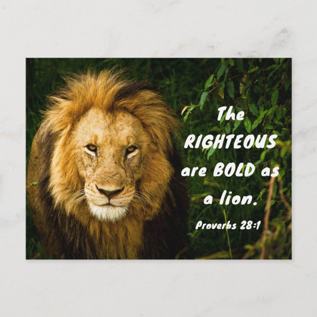 Proverbs 28:1 Righteous are Bold as a Lion Bible  Postcard (Front)