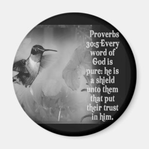 Proverbs 30:5 BIBLE SCRIPTURE with Hummingbird Magnet