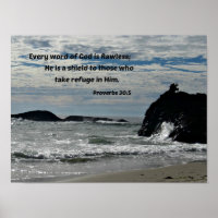 Proverbs 30:5 Every word of God is flawless...