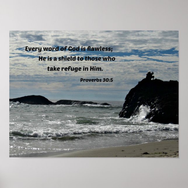 Proverbs 30:5 Every word of God is flawless... Poster (Front)