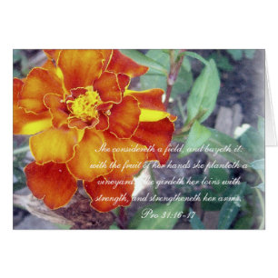 Proverbs 31 Collection ~ Pro 31:16-17