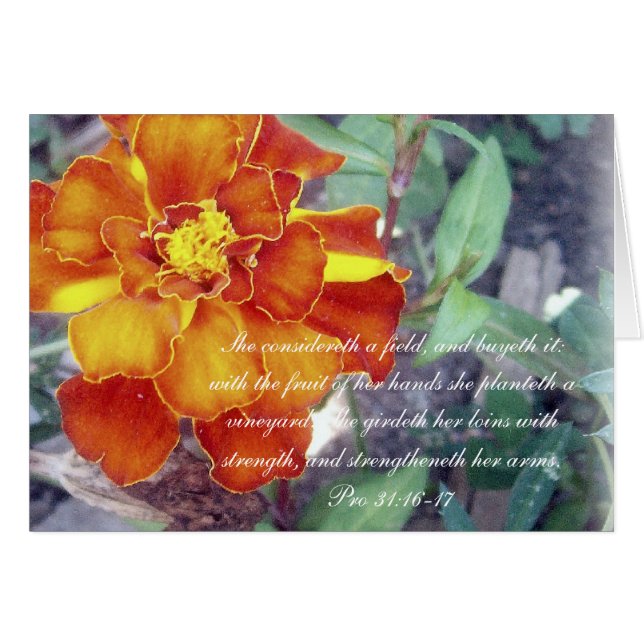 Proverbs 31 Collection ~ Pro 31:16-17 (Front Horizontal)